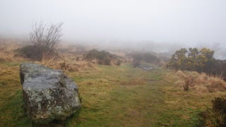 A RIVER RUNS THROUGH I.T. 