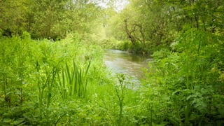 WARREN LANE 1
 