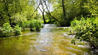 A RIVER RUNS THROUGH I.T. 