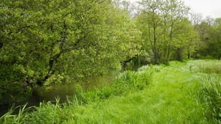 A RIVER RUNS THROUGH I.T. 