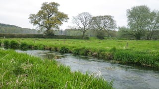 A RIVER RUNS THROUGH I.T. 