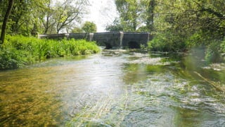 A RIVER RUNS THROUGH I.T. 
