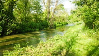 A RIVER RUNS THROUGH I.T. 