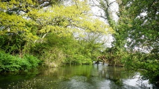 A RIVER RUNS THROUGH I.T. 