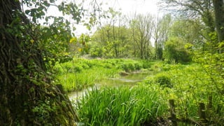 A RIVER RUNS THROUGH I.T. 