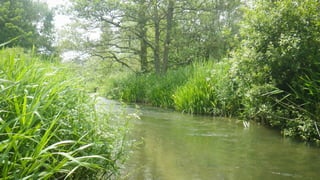 A RIVER RUNS THROUGH I.T. 