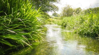 A RIVER RUNS THROUGH I.T. 