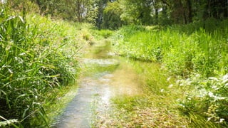 A RIVER RUNS THROUGH I.T. 