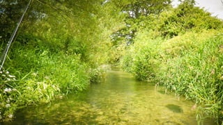 A RIVER RUNS THROUGH I.T. 