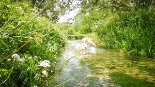 A RIVER RUNS THROUGH I.T. 