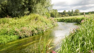 A RIVER RUNS THROUGH I.T. 