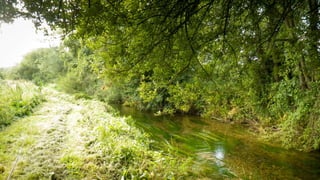 A RIVER RUNS THROUGH I.T. 