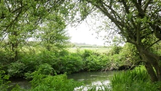 A RIVER RUNS THROUGH I.T. 