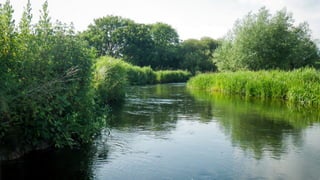 A RIVER RUNS THROUGH I.T. 