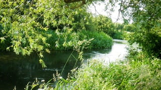 A RIVER RUNS THROUGH I.T. 