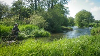 A RIVER RUNS THROUGH I.T. 