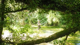 A RIVER RUNS THROUGH I.T. 