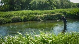 A RIVER RUNS THROUGH I.T. 