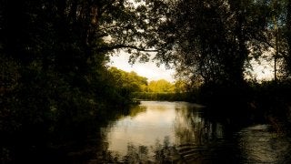 A RIVER RUNS THROUGH I.T. 
