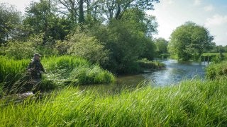 A RIVER RUNS THROUGH I.T. 