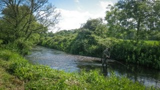 A RIVER RUNS THROUGH I.T. 