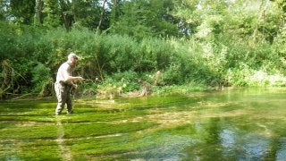 A RIVER RUNS THROUGH I.T. 