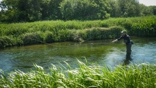 A RIVER RUNS THROUGH I.T. 