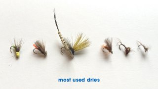 most used dries
 