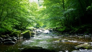 A RIVER RUNS THROUGH I.T. 
