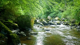 A RIVER RUNS THROUGH I.T. 