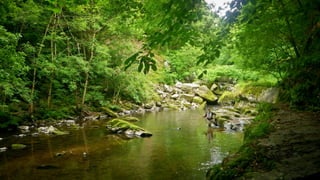 A RIVER RUNS THROUGH I.T. 