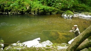 A RIVER RUNS THROUGH I.T. 