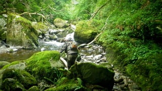 A RIVER RUNS THROUGH I.T. 