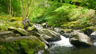 A RIVER RUNS THROUGH I.T. 