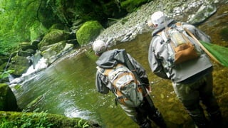 A RIVER RUNS THROUGH I.T. 
