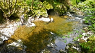 A RIVER RUNS THROUGH I.T. 