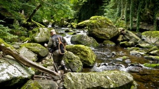 A RIVER RUNS THROUGH I.T. 