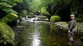 A RIVER RUNS THROUGH I.T. 