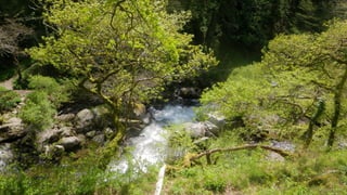 A RIVER RUNS THROUGH I.T. 