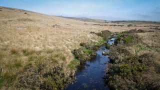 A RIVER RUNS THROUGH I.T. 