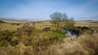 CHERRY BROOK
http://westcountryangling.com
 