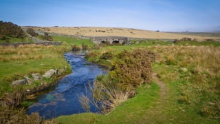 A RIVER RUNS THROUGH I.T. 