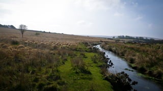 A RIVER RUNS THROUGH I.T. 
