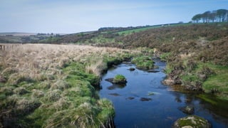 A RIVER RUNS THROUGH I.T. 