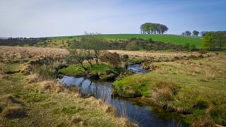 A RIVER RUNS THROUGH I.T. 