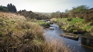 A RIVER RUNS THROUGH I.T. 
