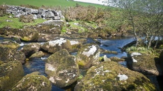 A RIVER RUNS THROUGH I.T. 