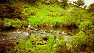 A RIVER RUNS THROUGH I.T. 