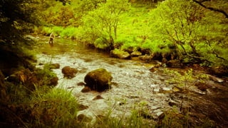 A RIVER RUNS THROUGH I.T. 