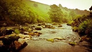 WEST DART
http://westcountryangling.com
 